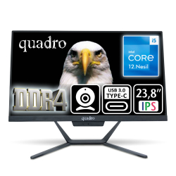 Quadro Stark 23.8&Quot; Ips I5-12450H 16Gb 480Ssd Type C-Usb Fdos 